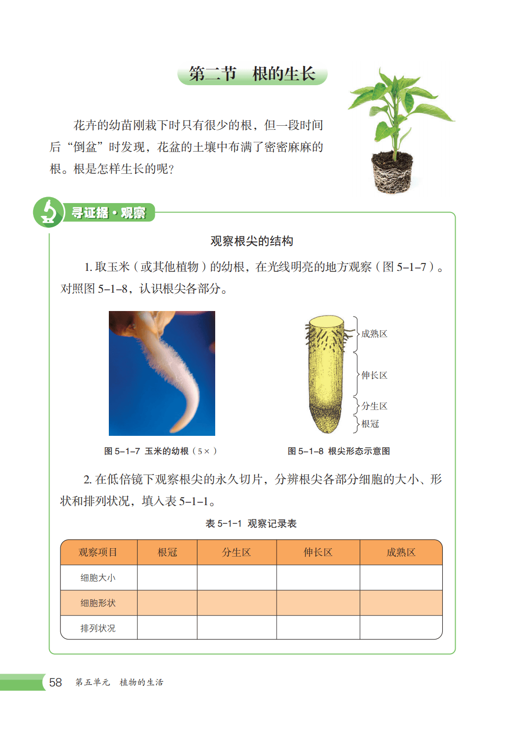 【冀少版】八年级上册(2025秋版)生物电子课本_65.png