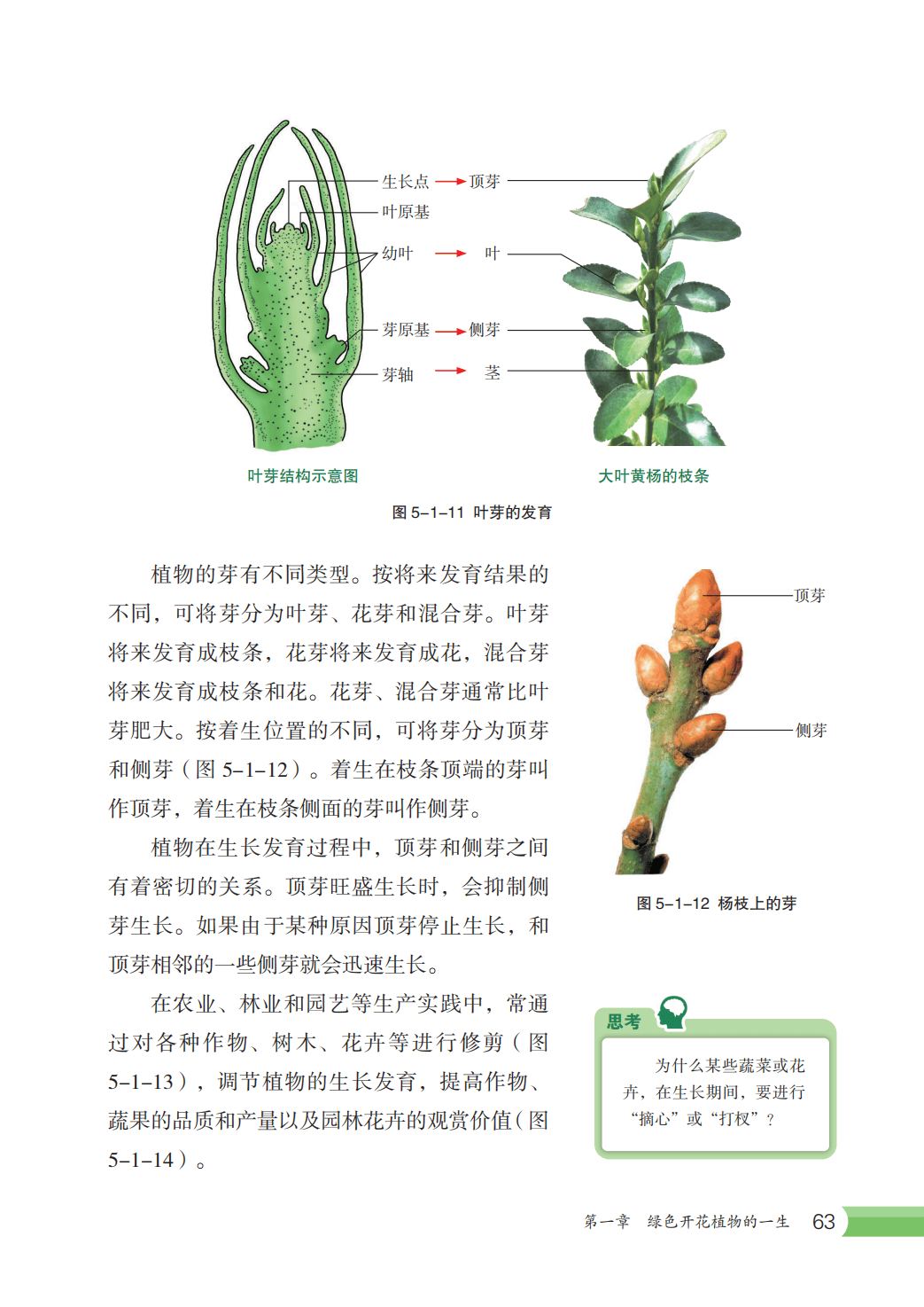 【冀少版】八年级上册(2025秋版)生物电子课本_70.png