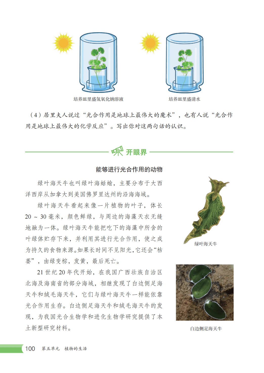 【冀少版】八年级上册(2025秋版)生物电子课本_107.png