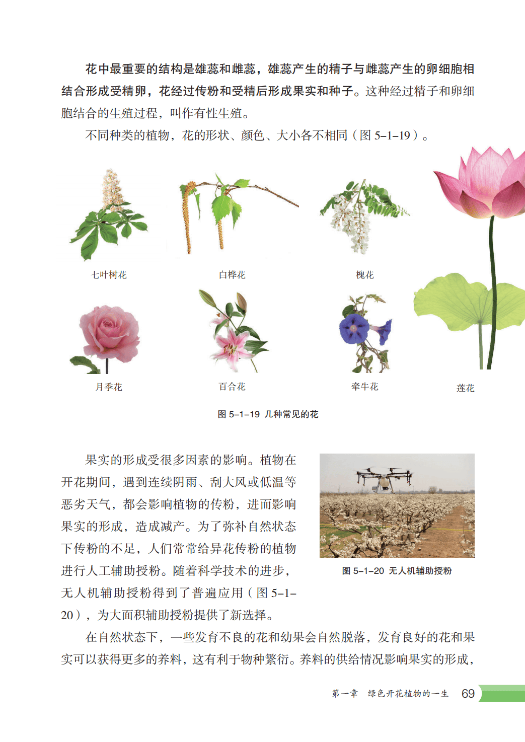 【冀少版】八年级上册(2025秋版)生物电子课本_76.png