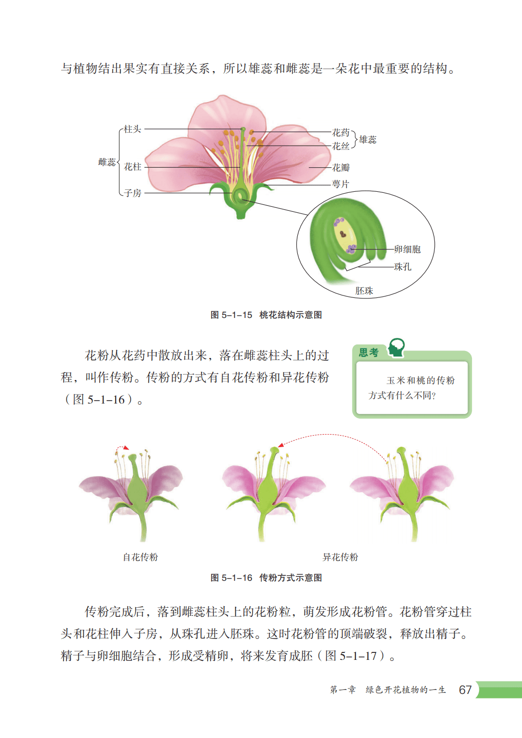 【冀少版】八年级上册(2025秋版)生物电子课本_74.png