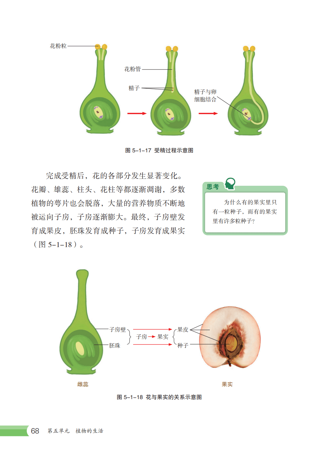 【冀少版】八年级上册(2025秋版)生物电子课本_75.png
