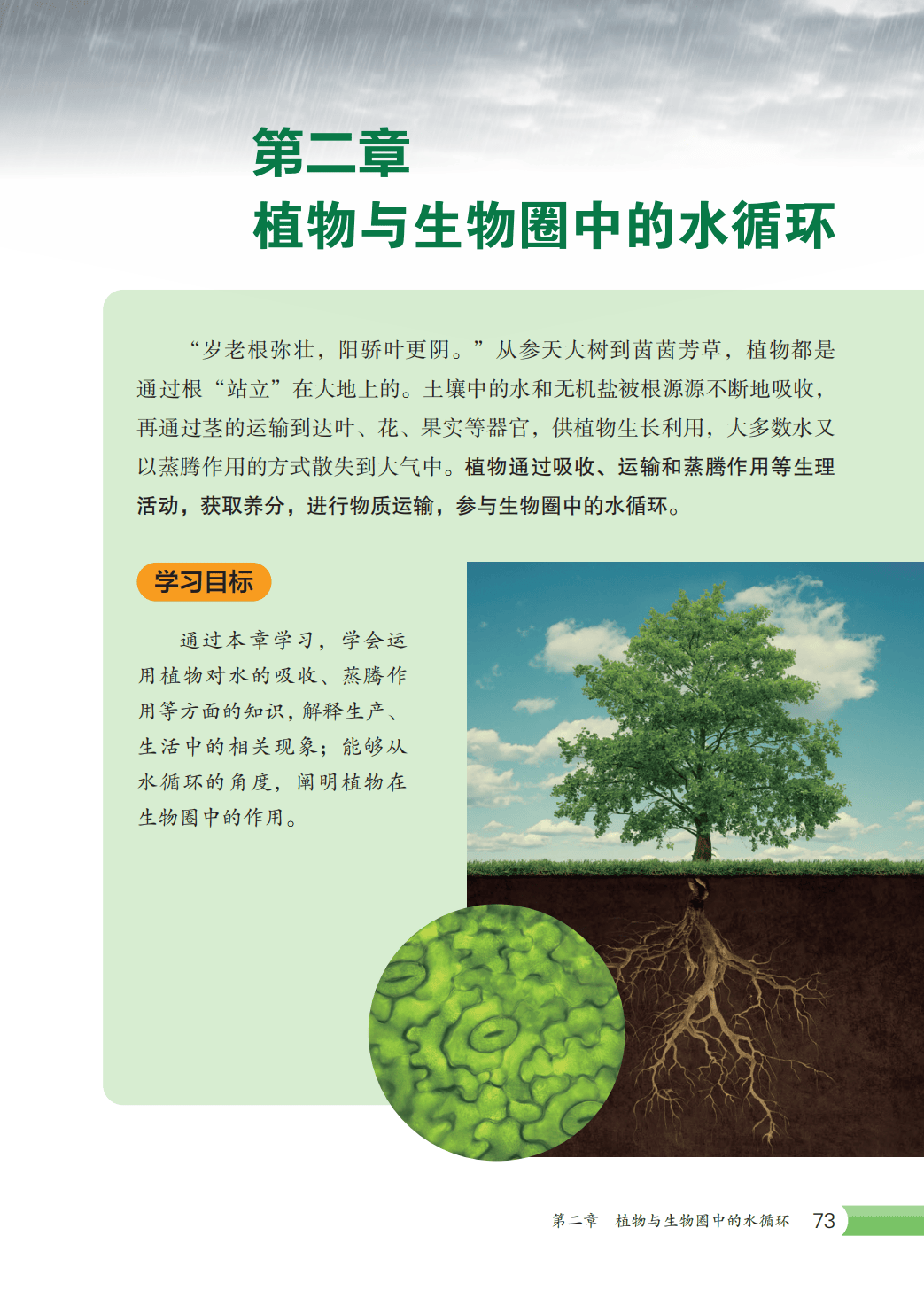 【冀少版】八年级上册(2025秋版)生物电子课本_80.png