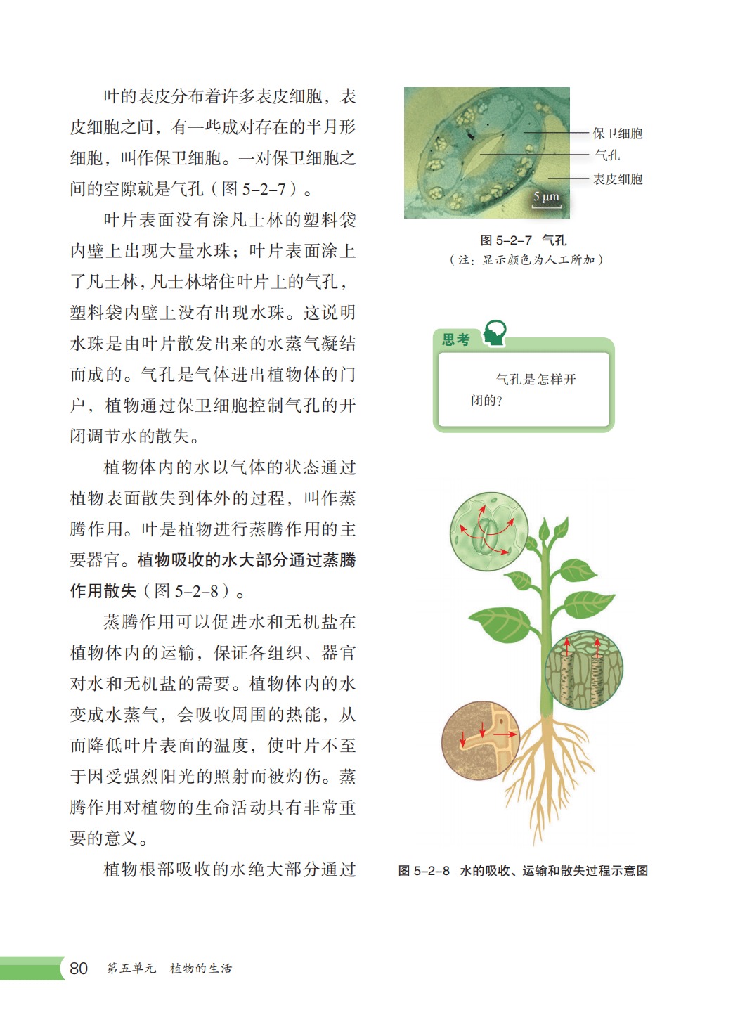 【冀少版】八年级上册(2025秋版)生物电子课本_87.png