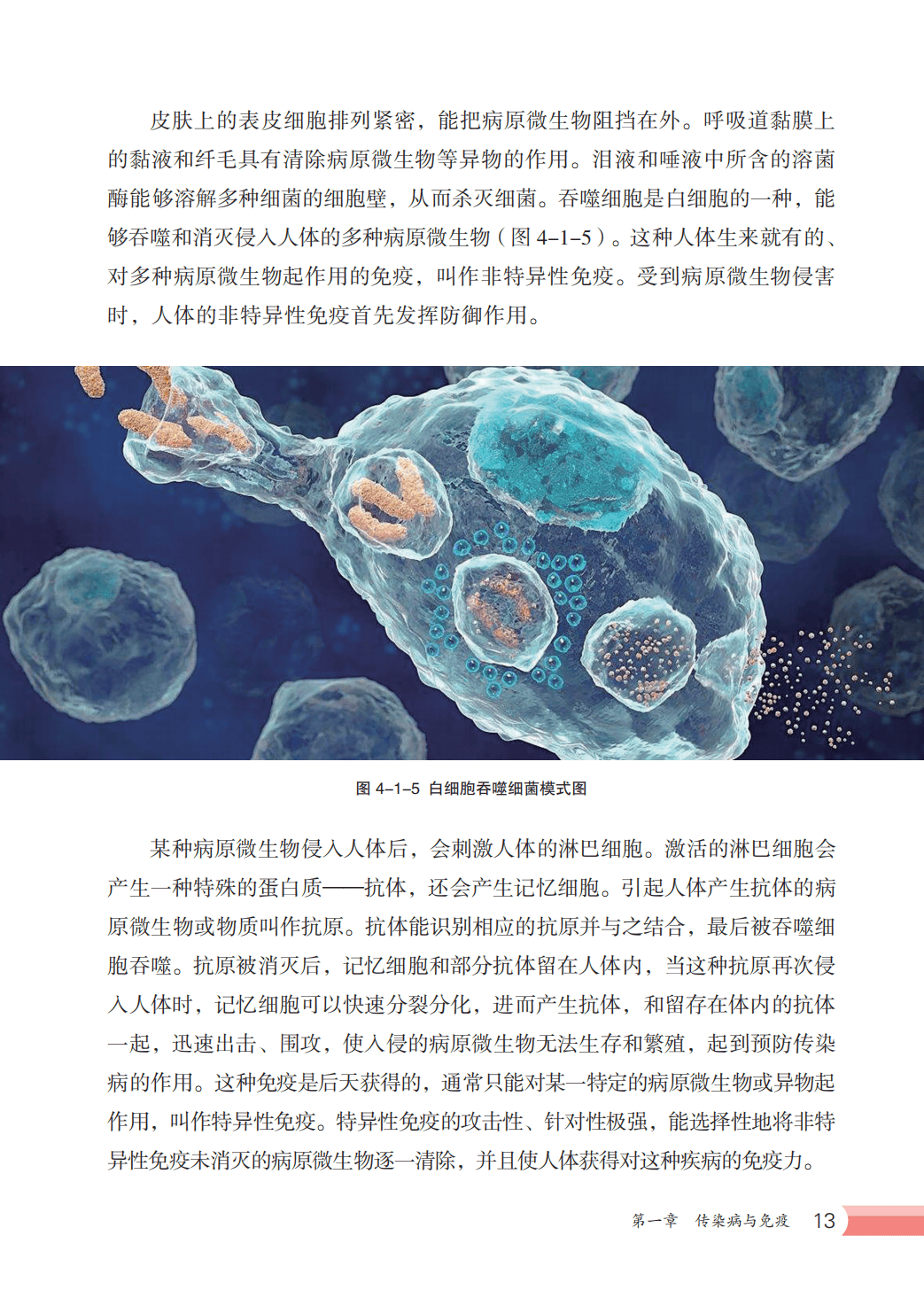 【冀少版】八年级上册(2025秋版)生物电子课本_20.png