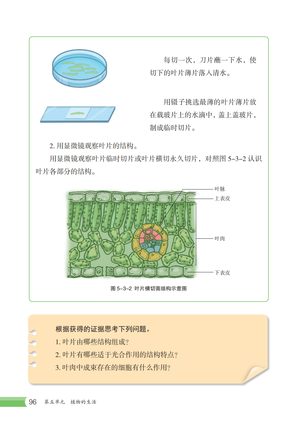 【冀少版】八年级上册(2025秋版)生物电子课本_103.png