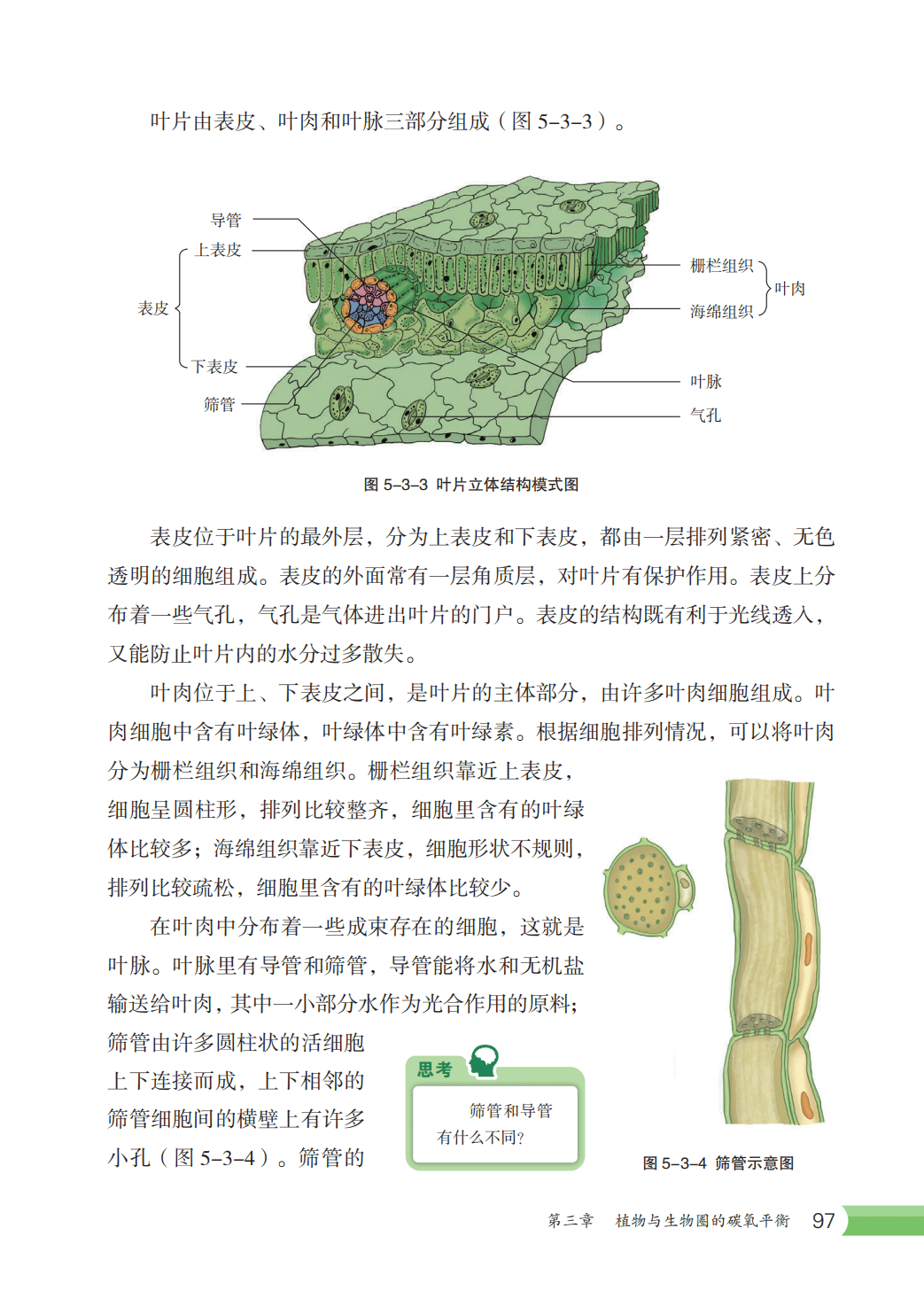 【冀少版】八年级上册(2025秋版)生物电子课本_104.png