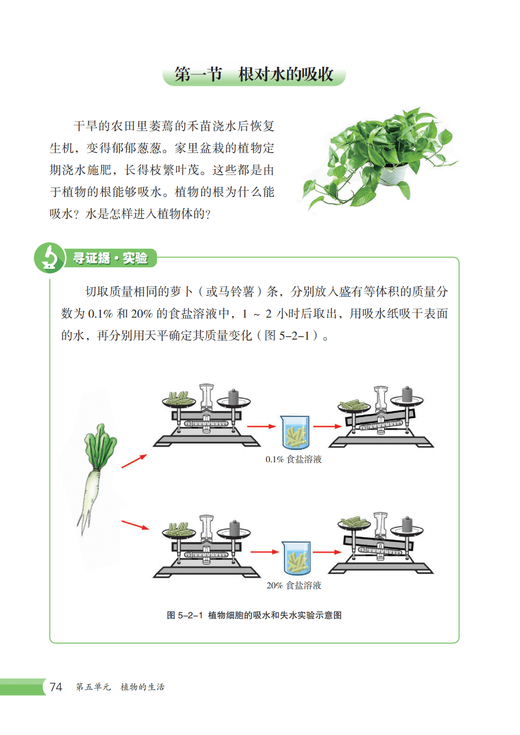 【冀少版】八年级上册(2025秋版)生物电子课本_81.png