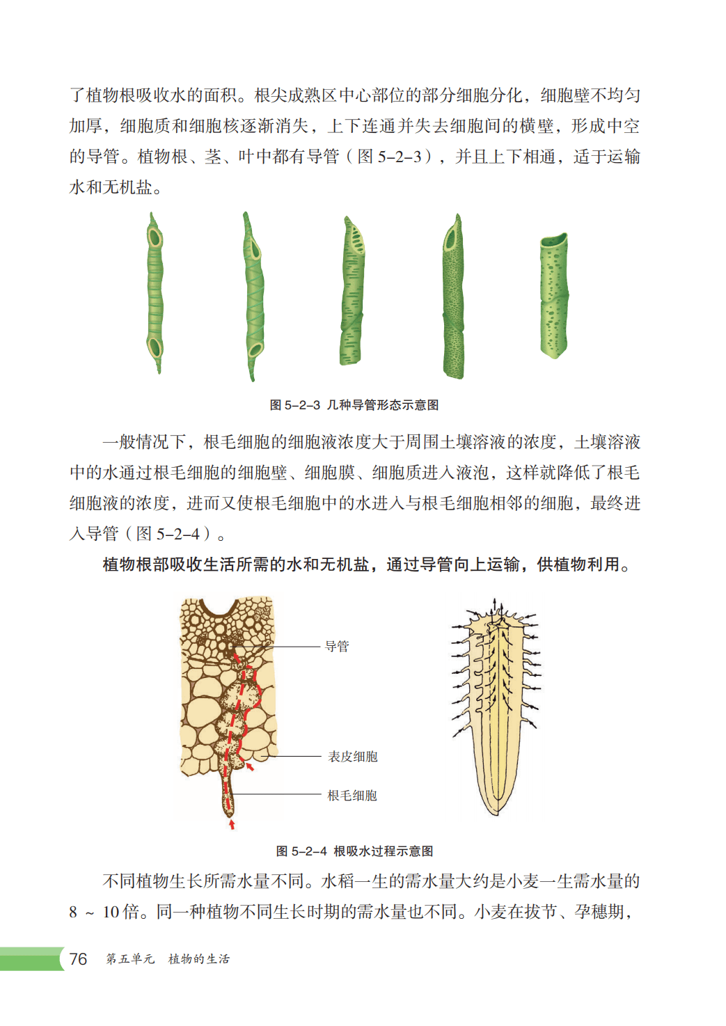 【冀少版】八年级上册(2025秋版)生物电子课本_83.png