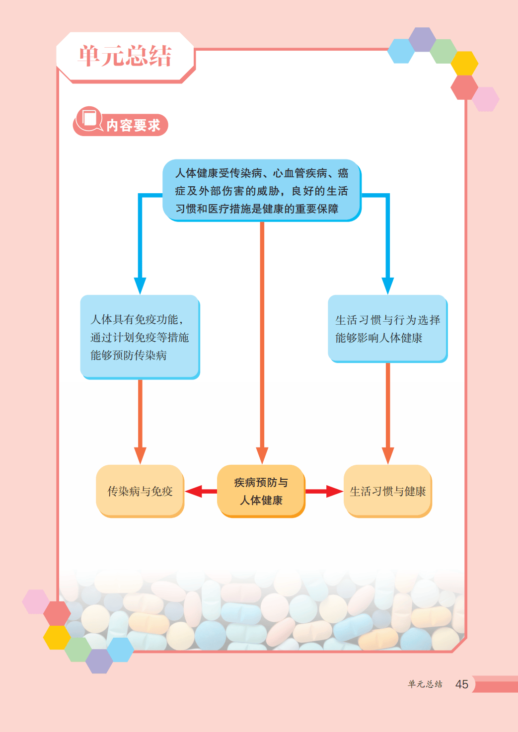 【冀少版】八年级上册(2025秋版)生物电子课本_52.png